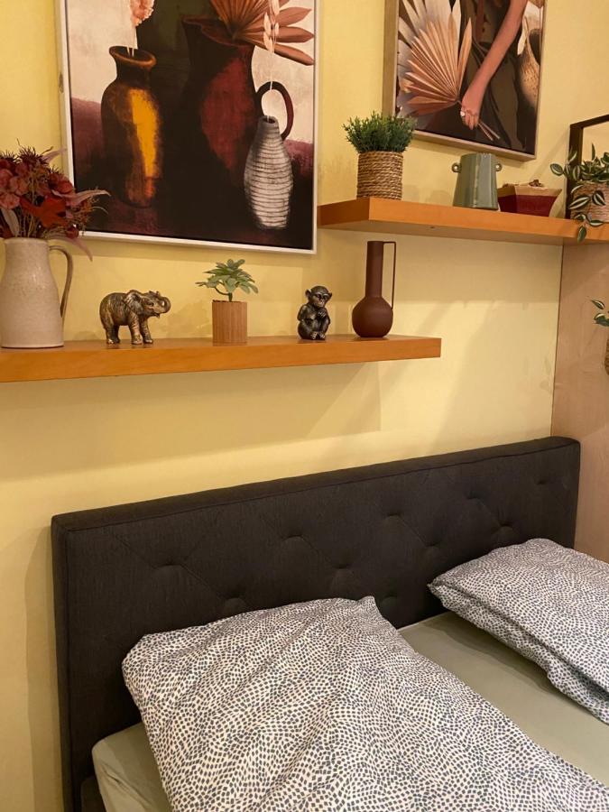 Jungle Story Apartment By Millenaris Park With Free Parking บูดาเปสต์ ภายนอก รูปภาพ